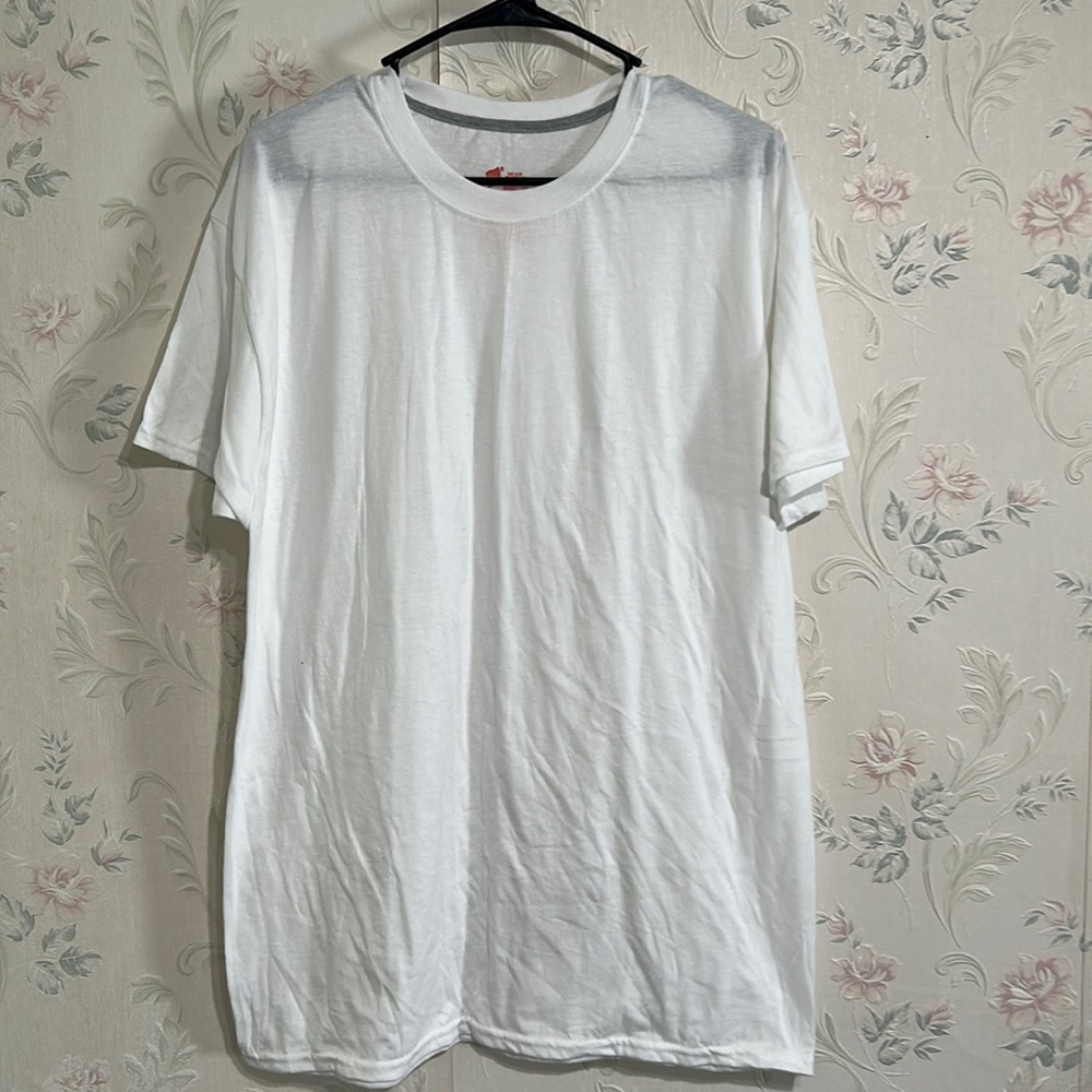 Hanes Men tshirt